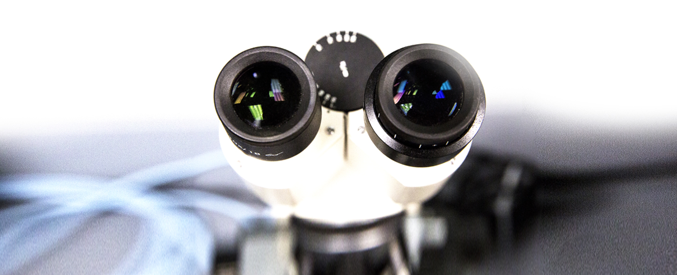 显微镜的目镜